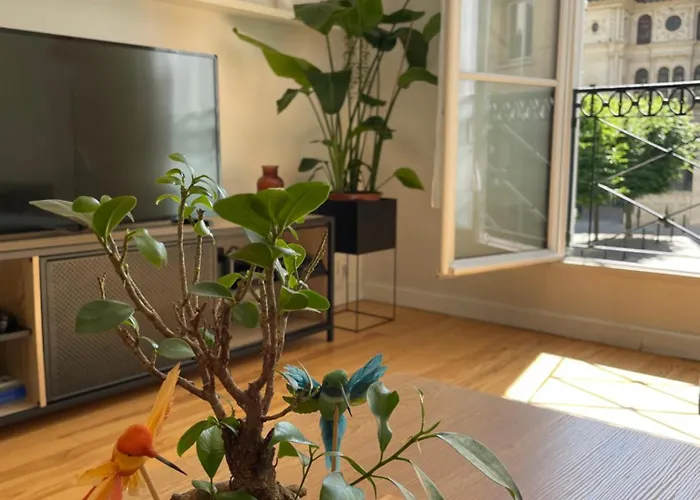 Charmant Appartement Hyper Centre